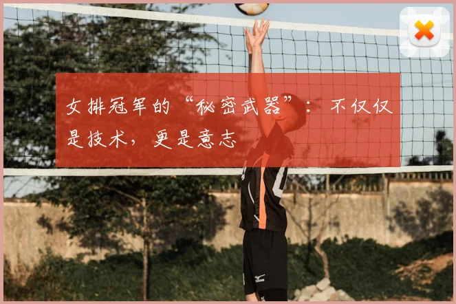 女排冠军的“秘密武器”：不仅仅是技术，更是意志