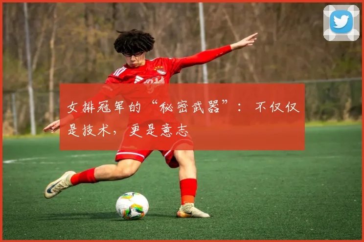 女排冠军的“秘密武器”：不仅仅是技术，更是意志